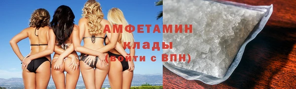 прущие грибы Аркадак
