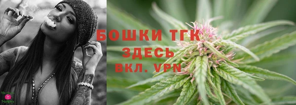 прущие грибы Аркадак