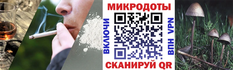 Псилоцибиновые грибы Psilocybine cubensis  Сибай 